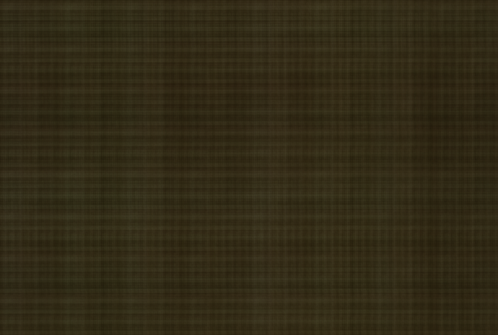 Coyote L10 W256 Iter 1