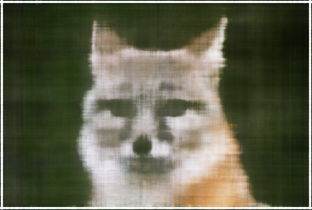 Coyote L10 W256 Iter 100