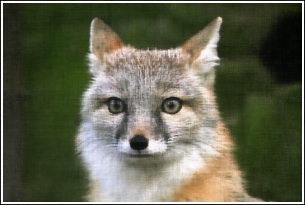 Coyote L10 W256 Iter 1500