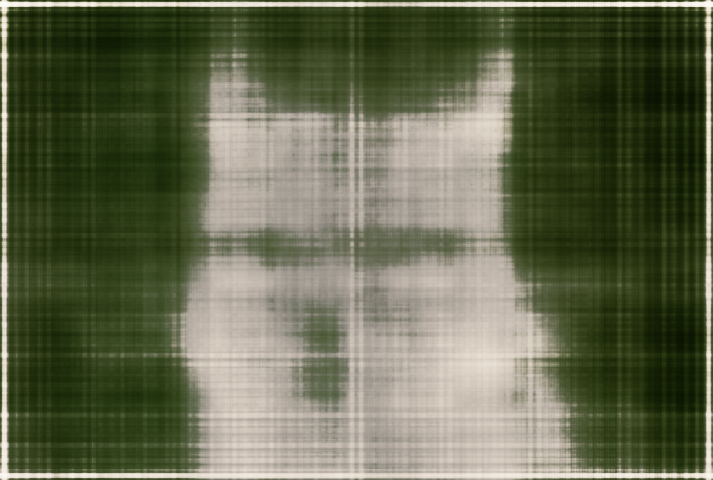 Coyote L10 W256 Iter 50