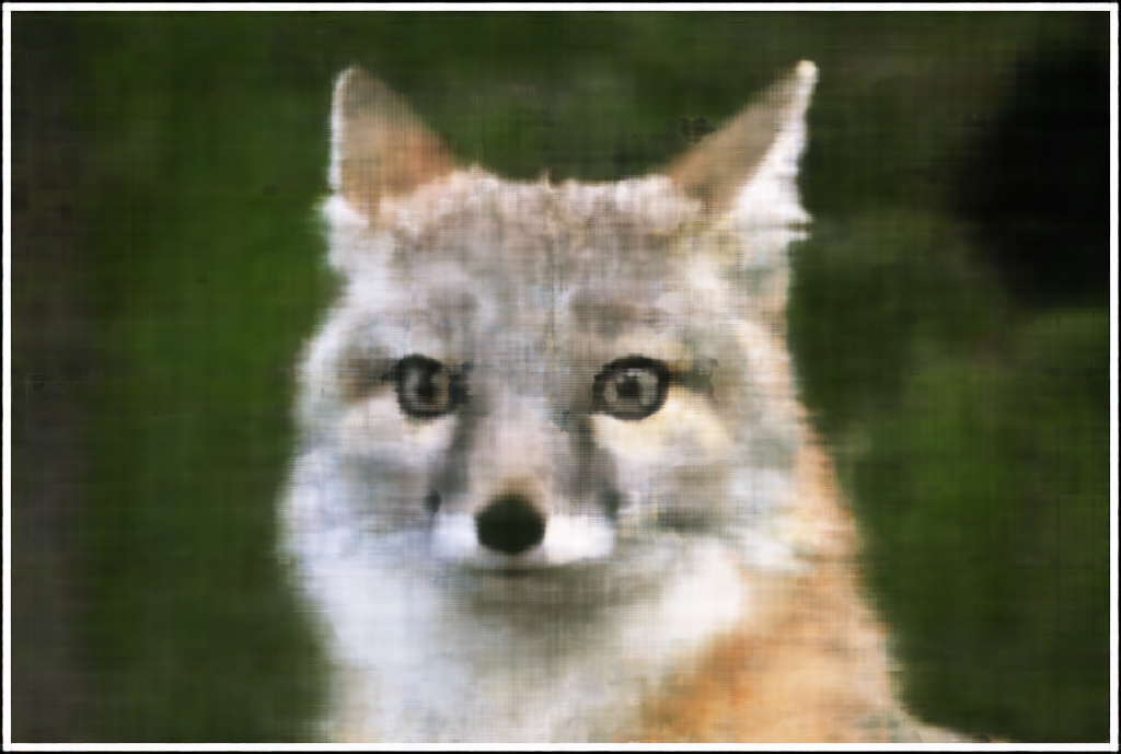 Coyote Final L10 W64