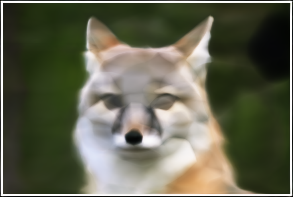 Coyote Final L3 W256