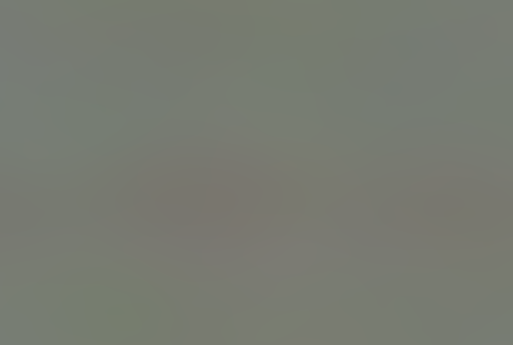 Coyote L3 W64 Iter 1