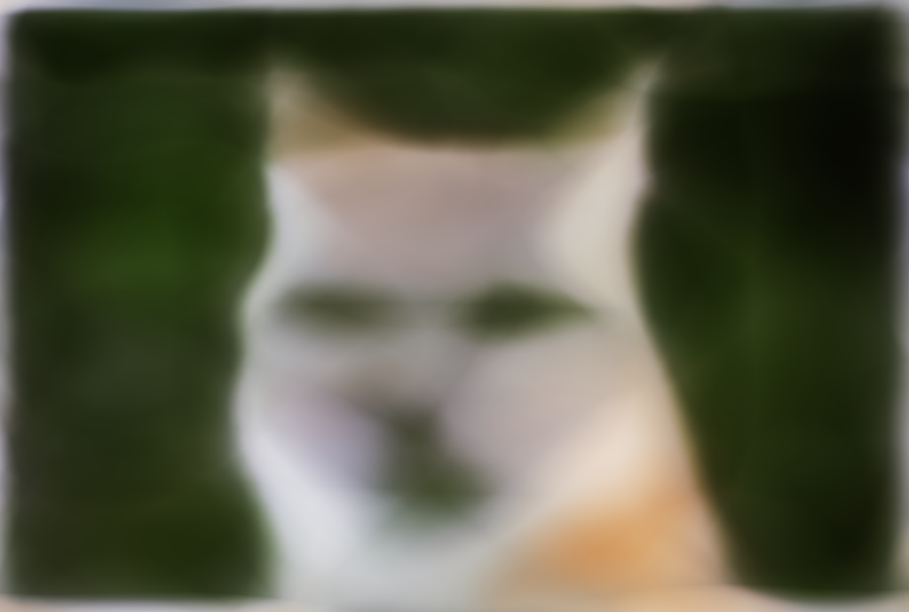 Coyote L3 W64 Iter 100