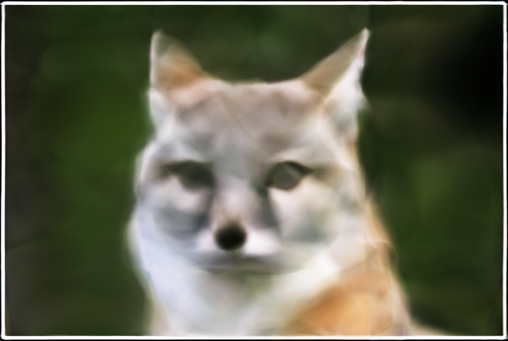 Coyote L3 W64 Iter 1500