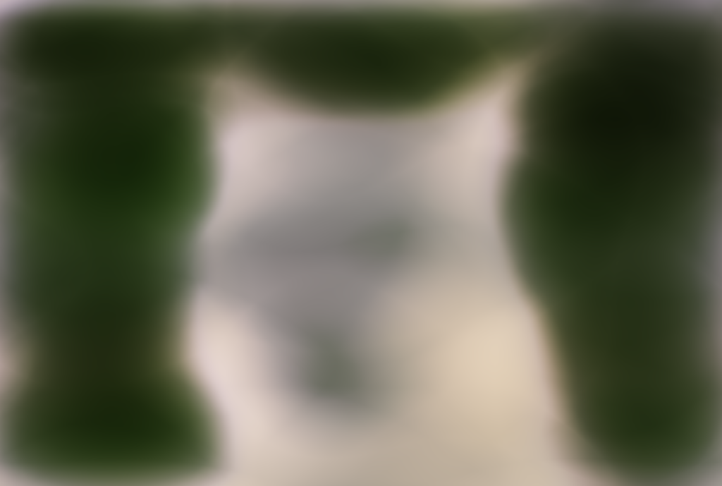 Coyote L3 W64 Iter 50