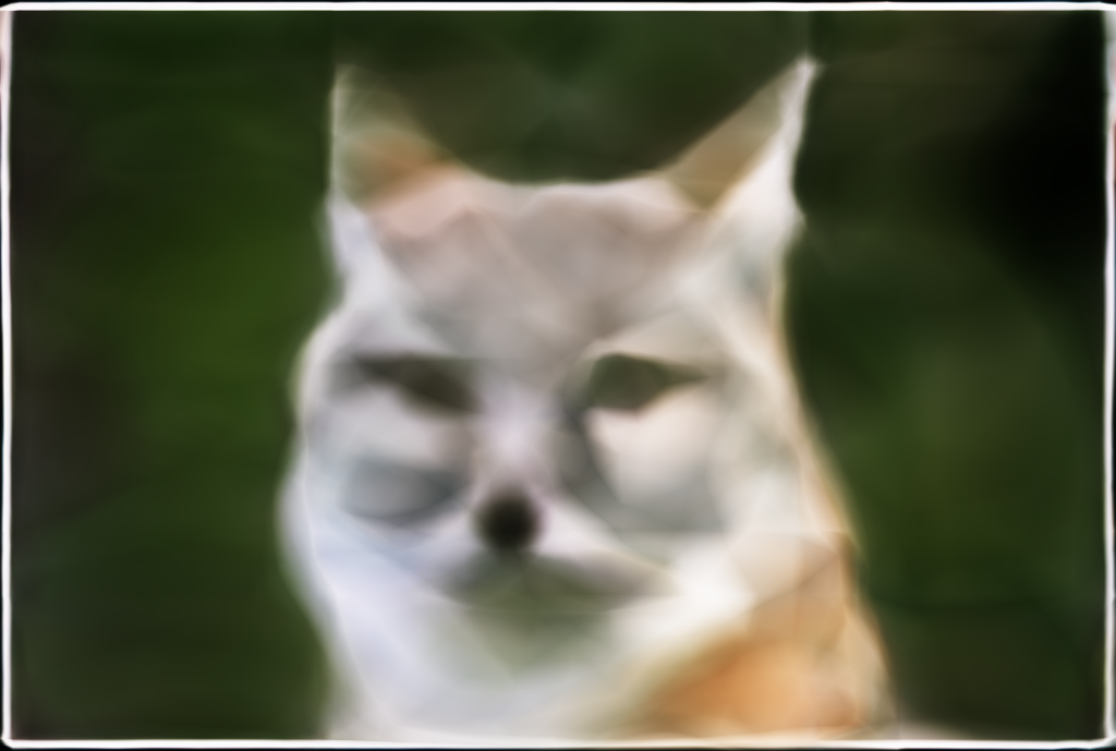 Coyote L3 W64 Iter 500