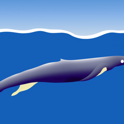 Whale (20)
